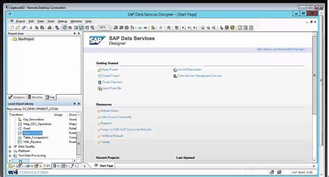 sap data services pdf.